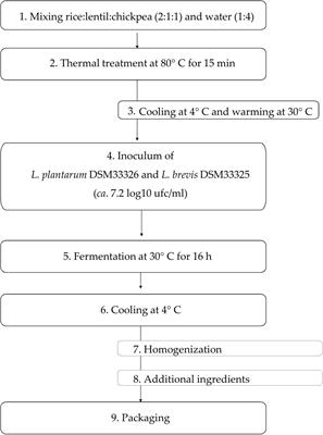 Nutritional, Functional, and Technological Characterization of a Novel Gluten- and Lactose-Free Yogurt-Style Snack Produced With Selected Lactic Acid Bacteria and Leguminosae Flours